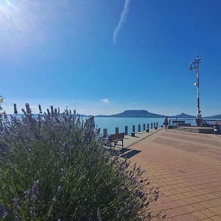 In - Balaton 43602 *