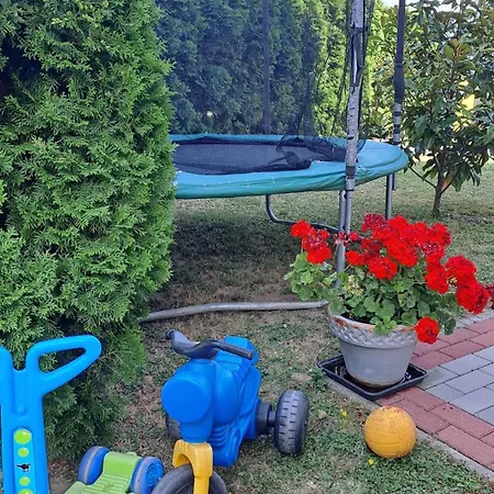 In - Balaton 43602 * Фоньод