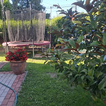 In - Balaton 43602 Apartment *